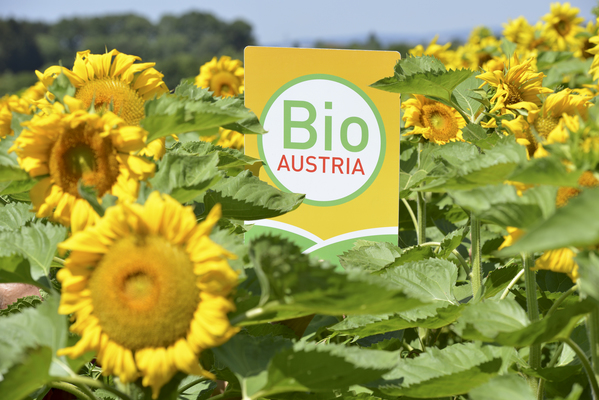 BIO AUSTRIA - Partner News