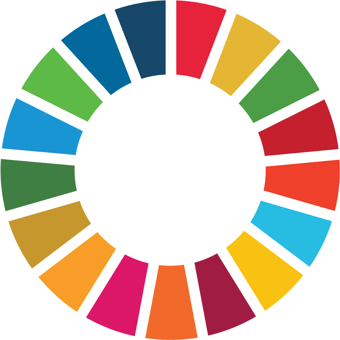 SDG Wheel