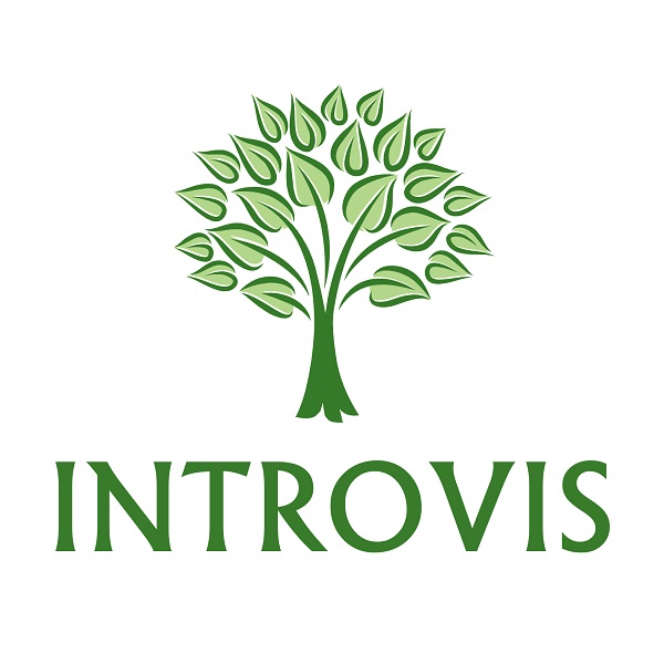 Introvis Logo
