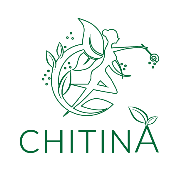 CHITINA Logo