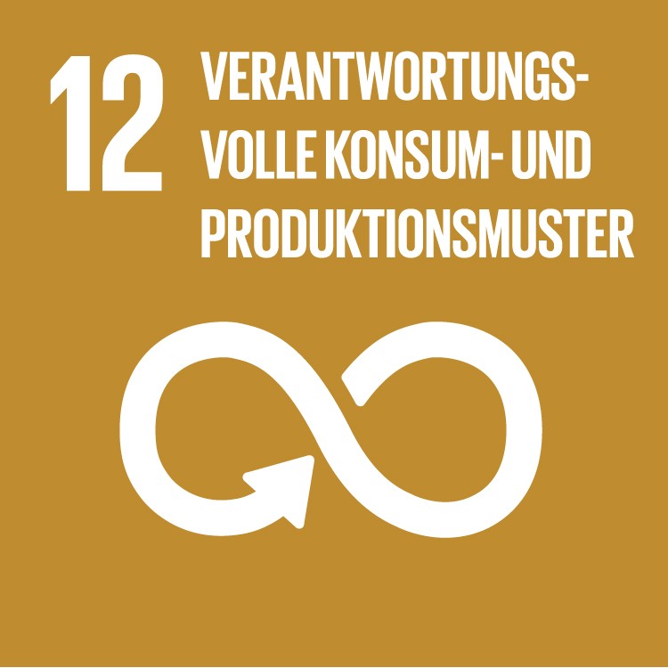 SDG 12 Nachhaltiger Konsum und Produktion
