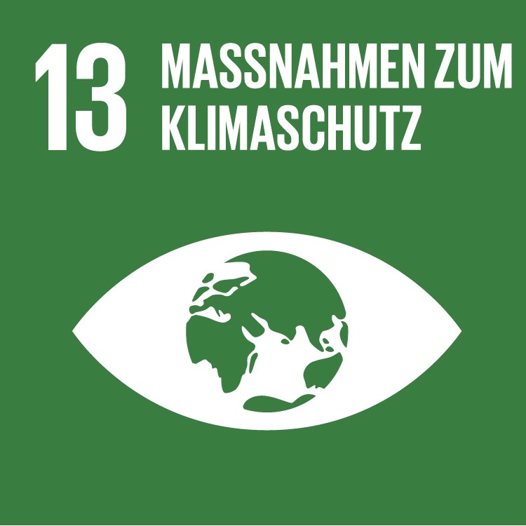 SDG 13 Massnahmen zum Klimaschutz