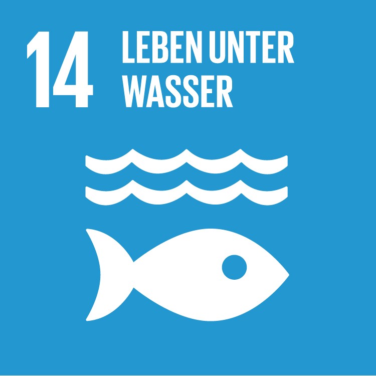 SDG 14 Leben unter Wasser